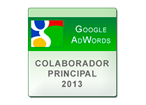 Google AdWord Principal Contributor 2013